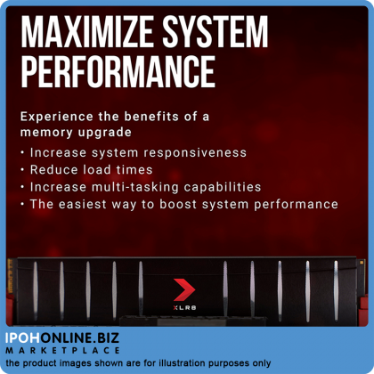 PNY XLR8 16GB DDR4 3200 Low Profile Desktop Gaming RAM - XMP 2.0 PNY XLR8 16GB DDR4 3200 Low Profile Desktop Gaming RAM - XMP 2.0