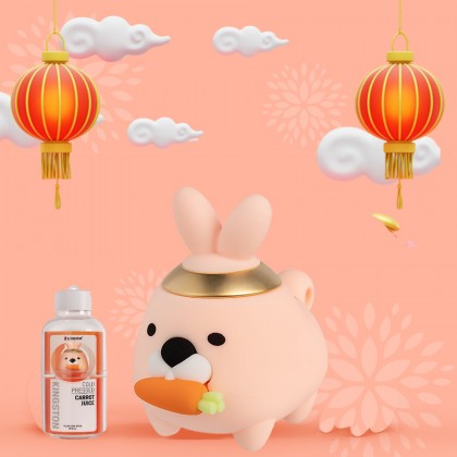 Kingston DTCNY23/64GB 2023 Limited Edition Mini Rabbit DataTraveler 64GB USB 3.1 Flash Drive Kingston DTCNY23/64GB 2023 Limited Edition Mini Rabbit DataTraveler 64GB USB 3.1 Flash Drive